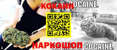 бошки Брянск