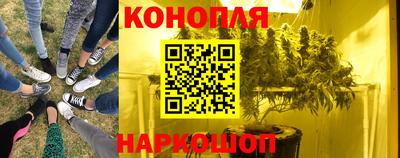 гидра Братск
