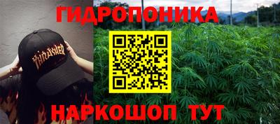 гидра Братск