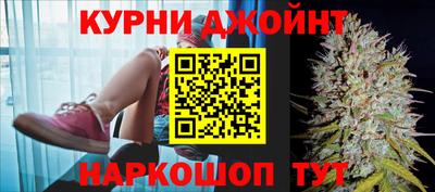 гидра Братск