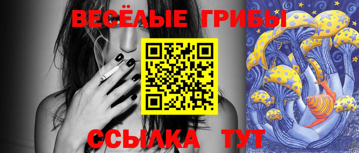 Псилоцибиновые грибы Psilocybe  купить наркотики сайты  Вход с VPN  Белорецк  Галлюциногенные грибы ЛСД 
