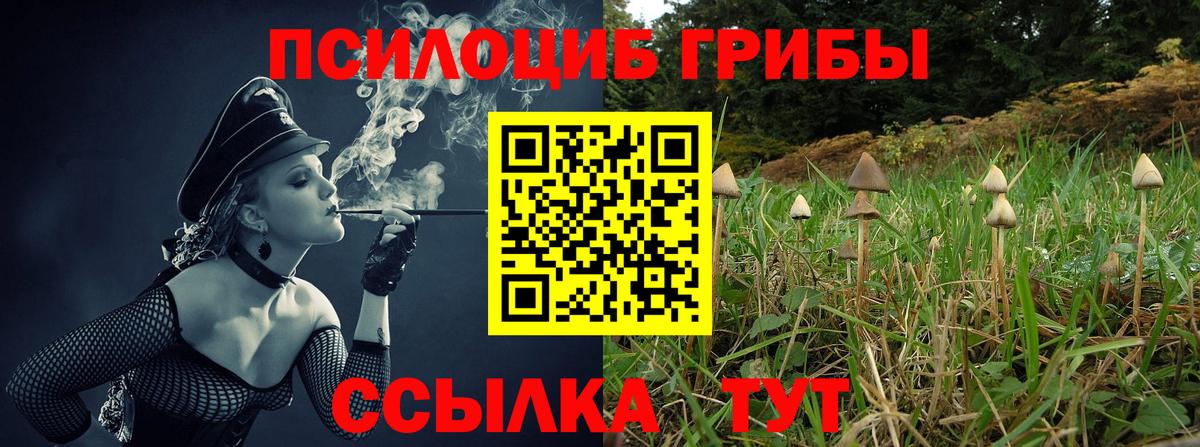 Псилоцибиновые грибы мухоморы Белорецк